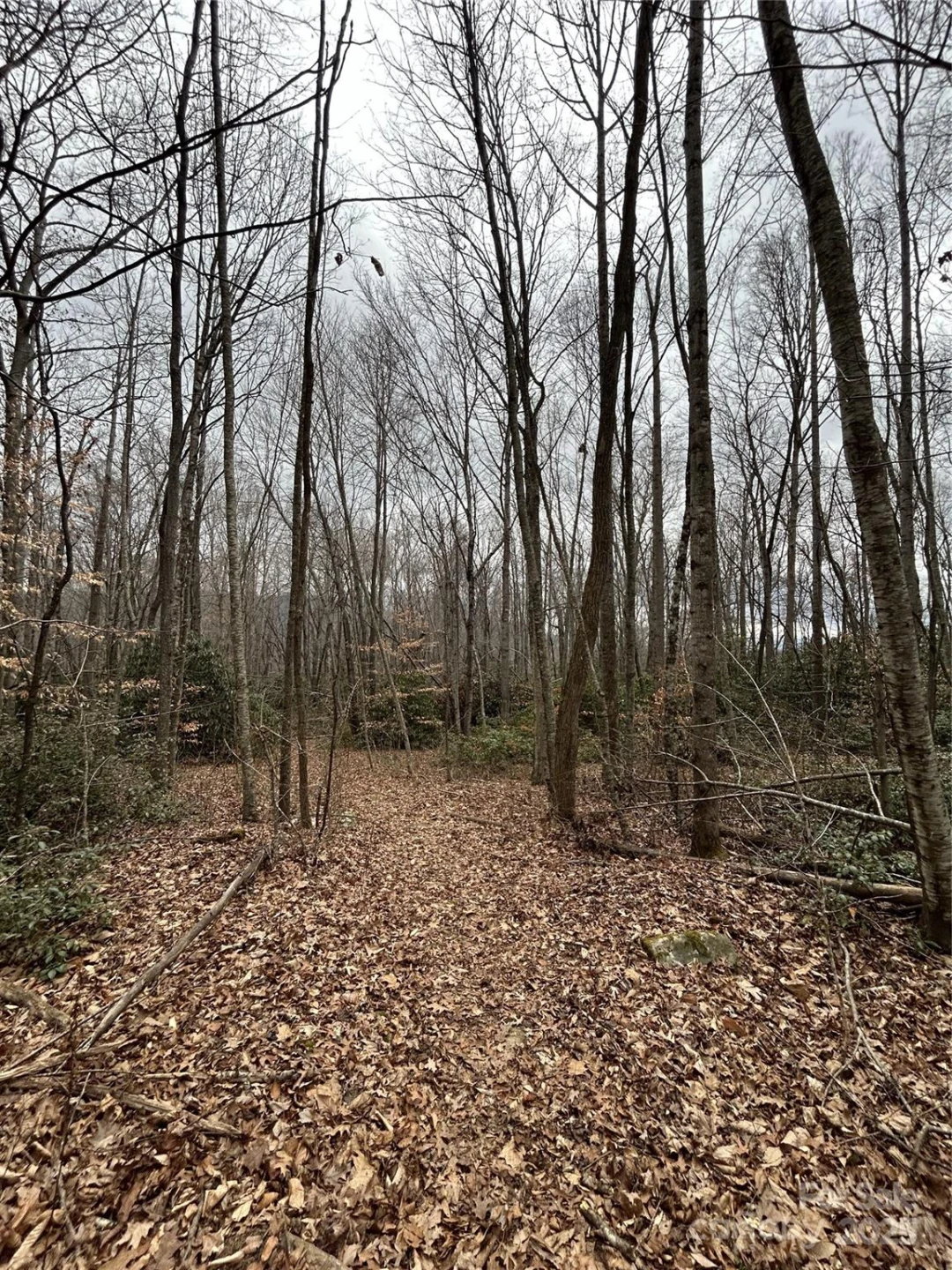 000 Lytle Cove Road - Photo 18