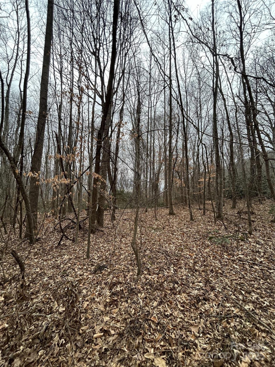 000 Lytle Cove Road - Photo 20