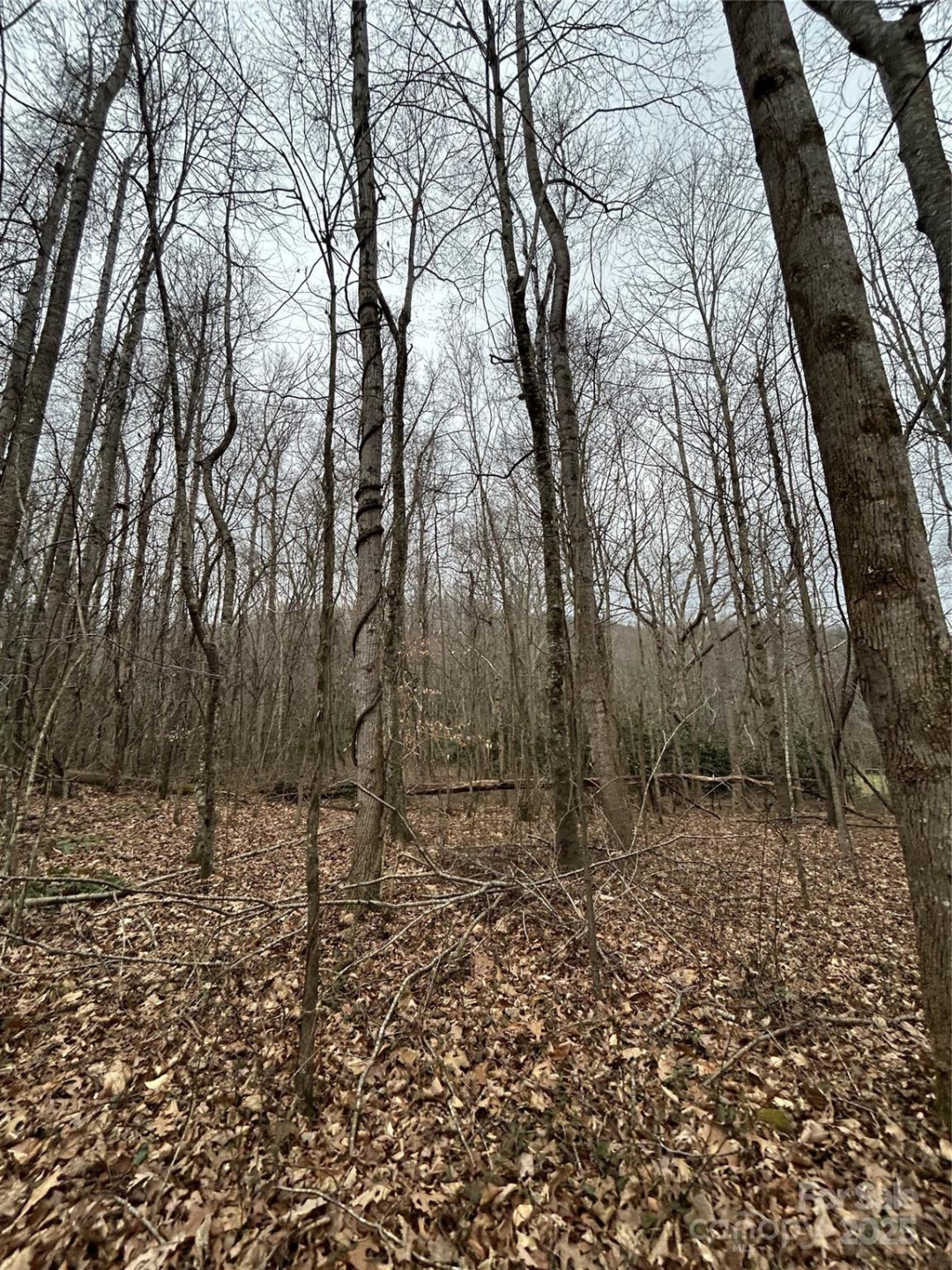 000 Lytle Cove Road - Photo 21