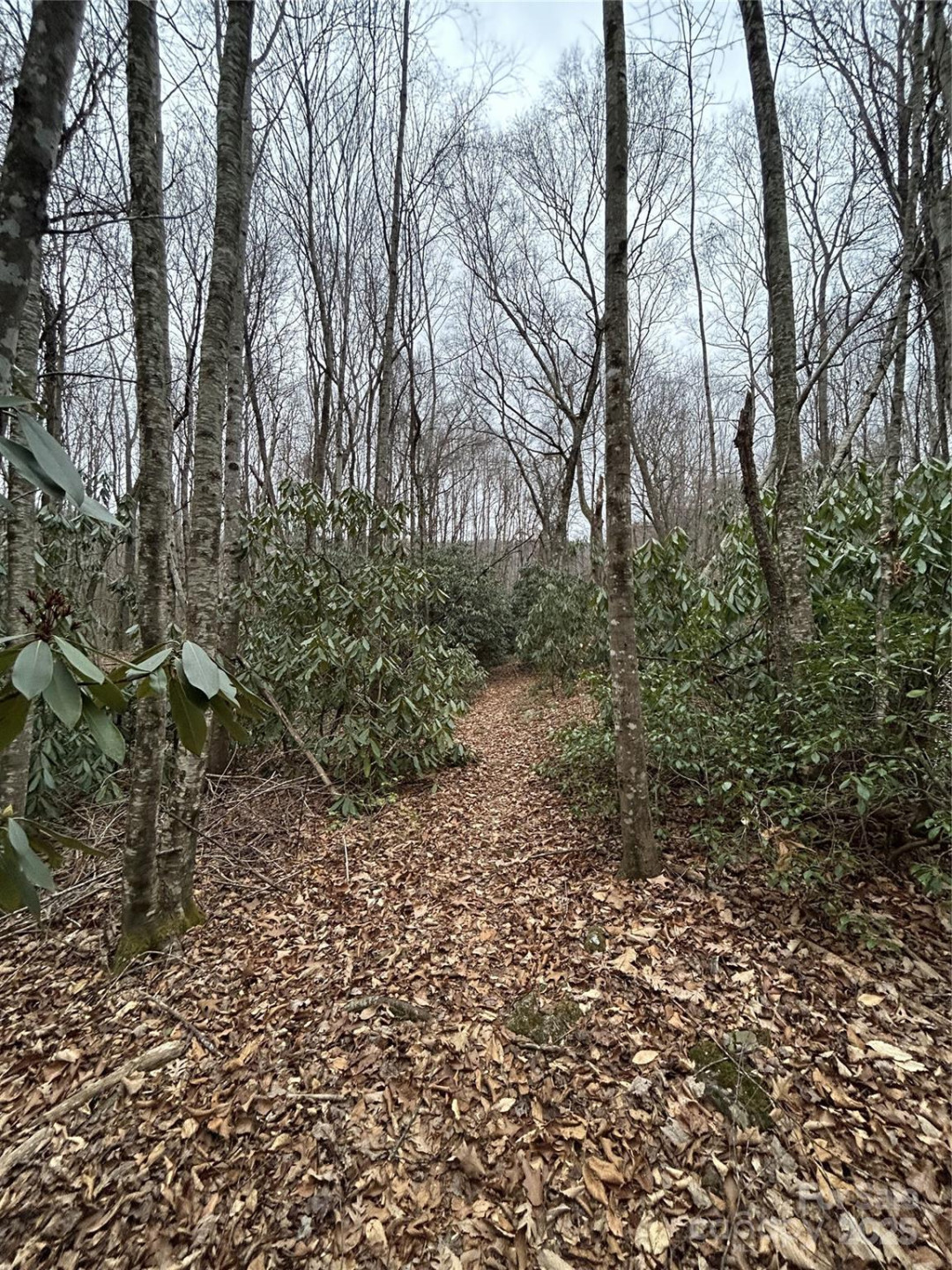 000 Lytle Cove Road - Photo 23