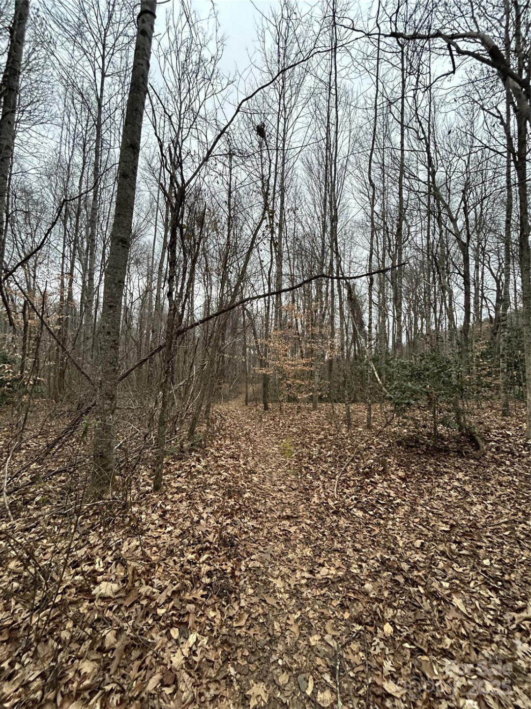 000 Lytle Cove Road - Photo 24