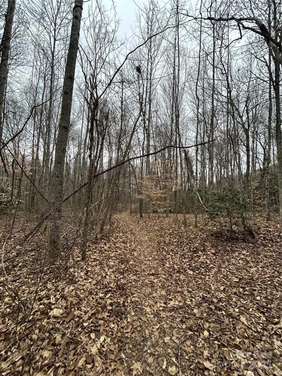 000 Lytle Cove Road - Photo 24