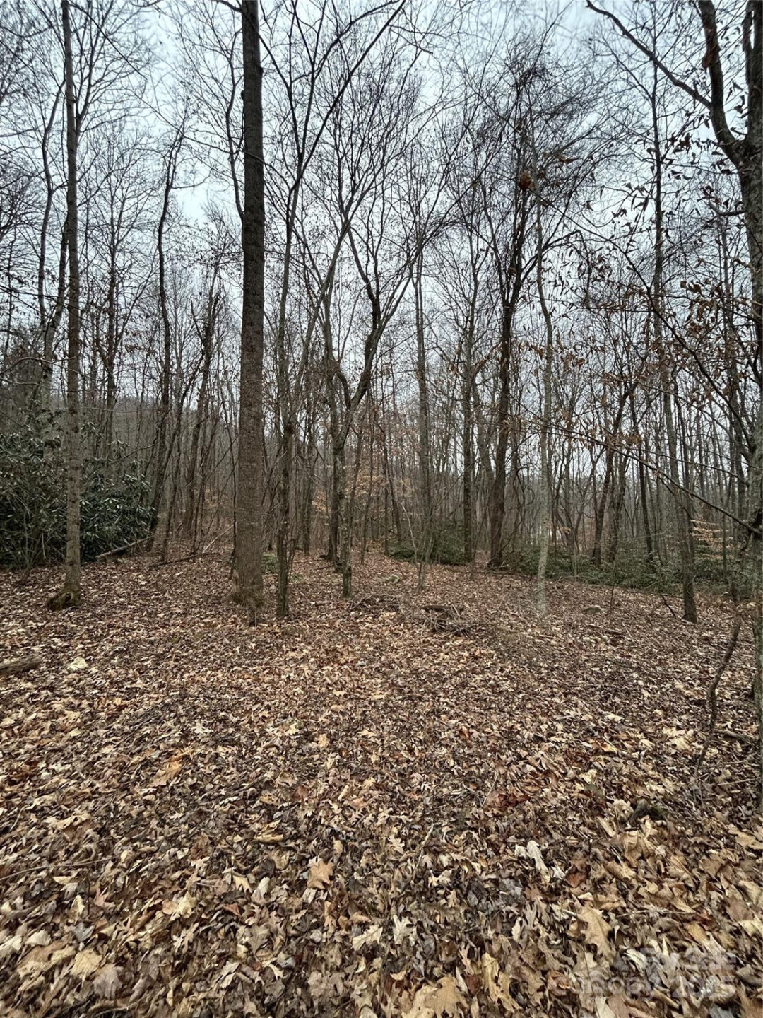 000 Lytle Cove Road - Photo 25