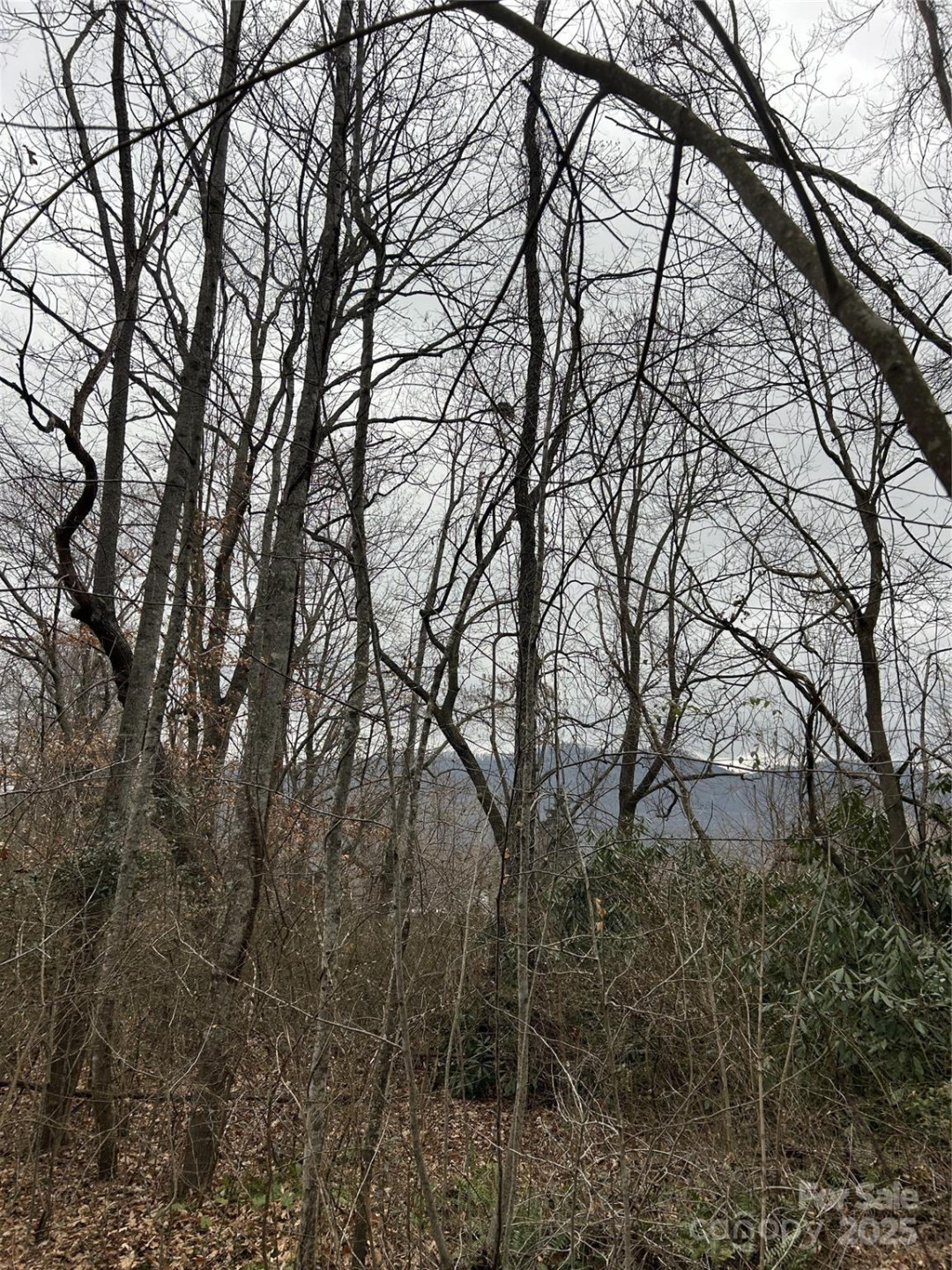 000 Lytle Cove Road - Photo 26