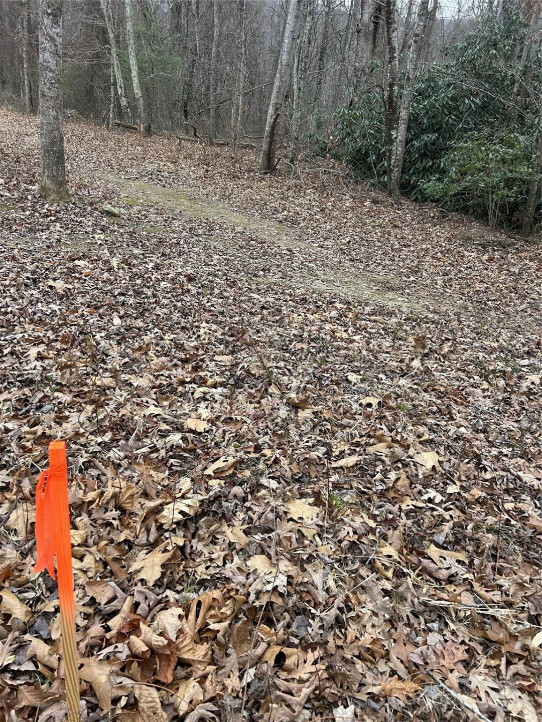 000 Lytle Cove Road - Photo 27