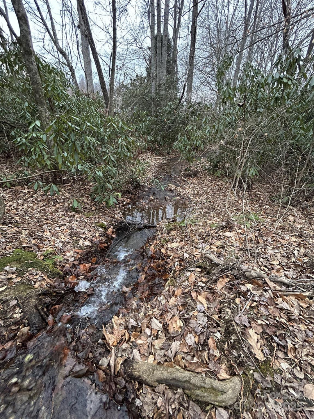 000 Lytle Cove Road - Photo 28