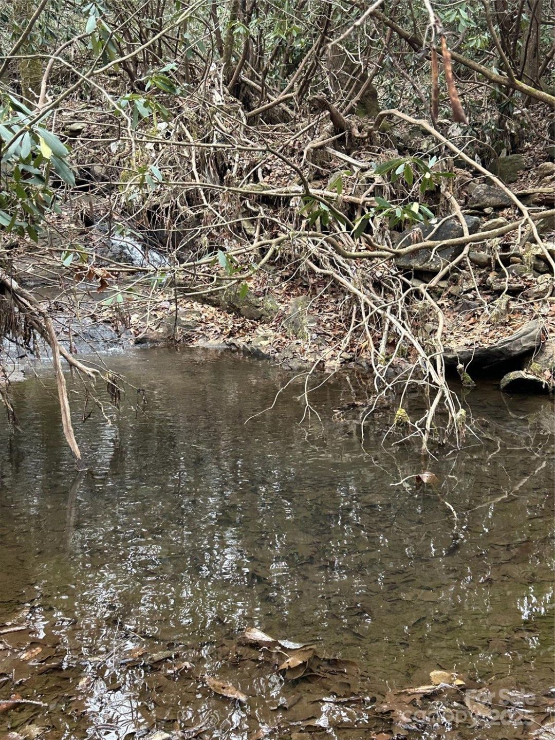 000 Lytle Cove Road - Photo 29