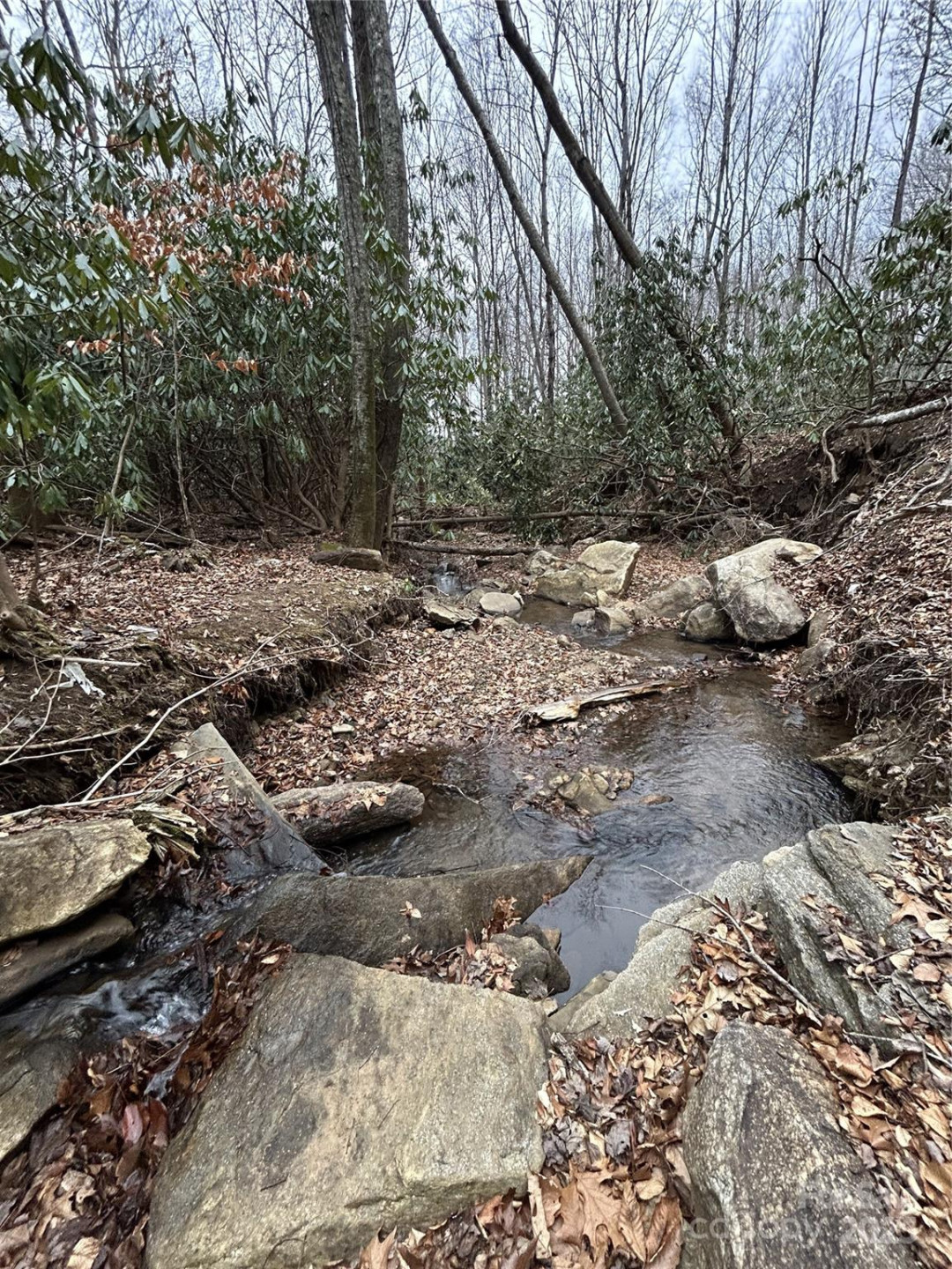 000 Lytle Cove Road - Photo 30