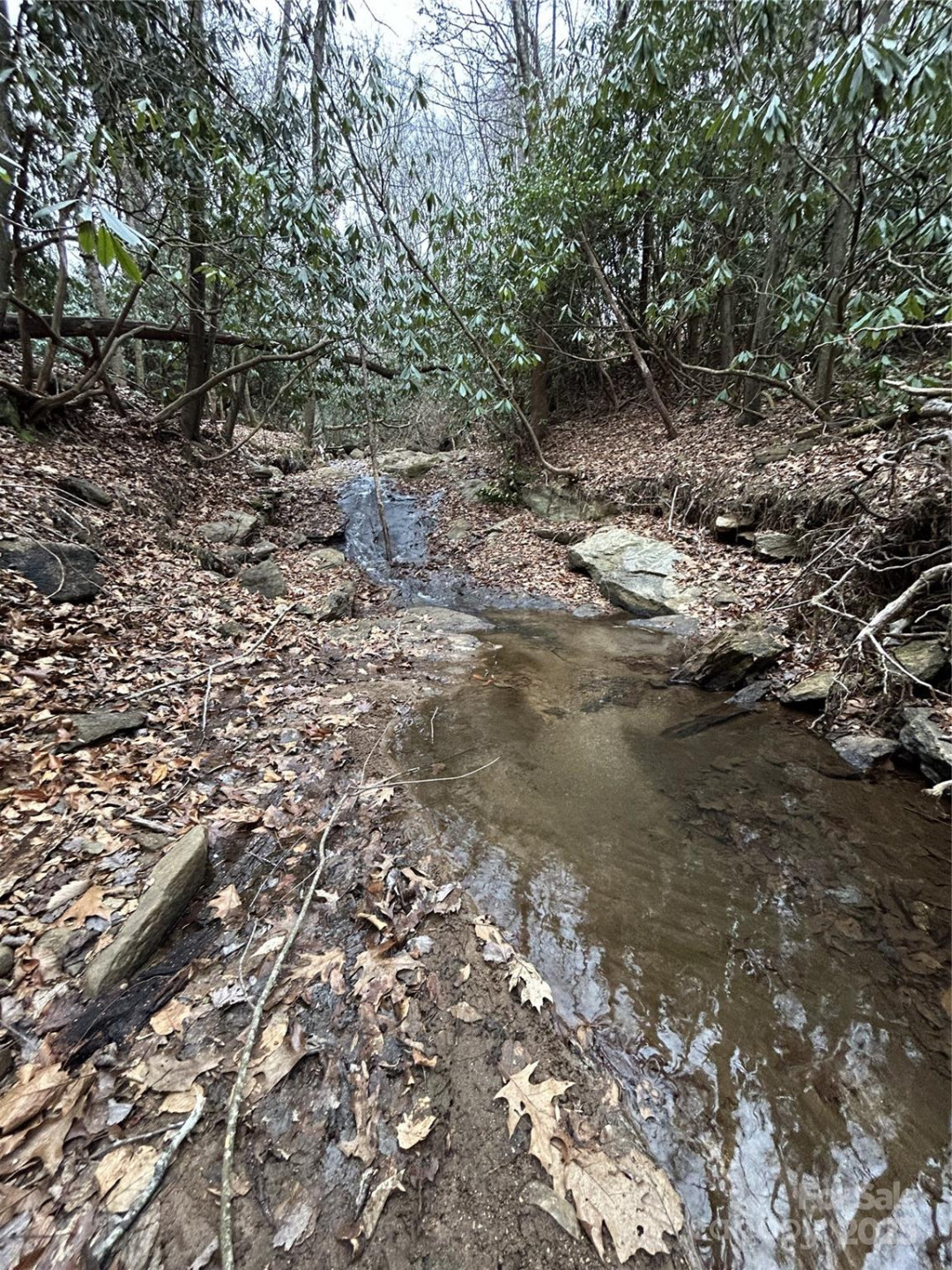 000 Lytle Cove Road - Photo 31