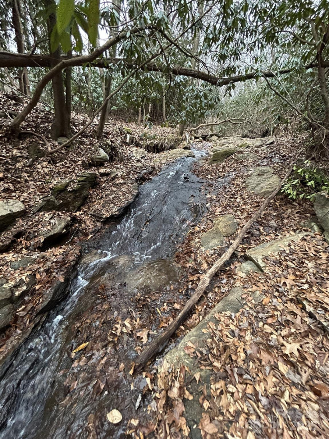 000 Lytle Cove Road - Photo 32