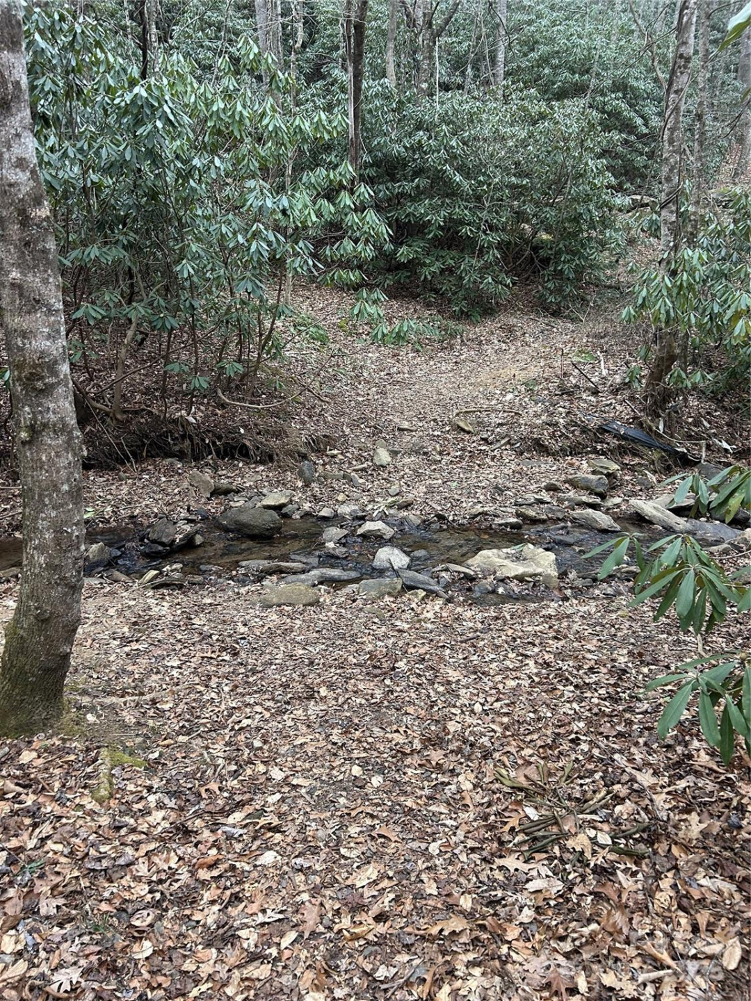 000 Lytle Cove Road - Photo 33