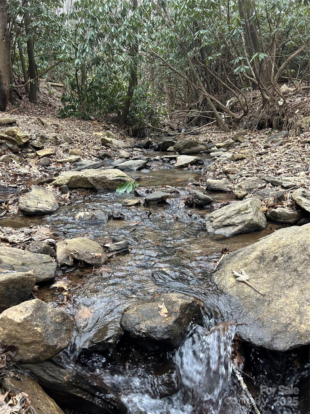 000 Lytle Cove Road - Photo 34