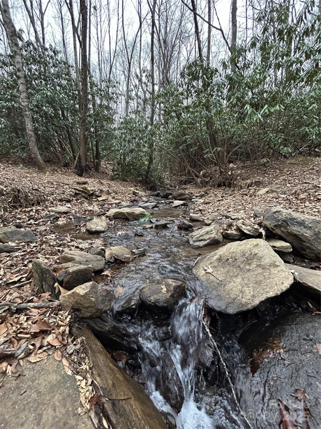 000 Lytle Cove Road - Photo 35