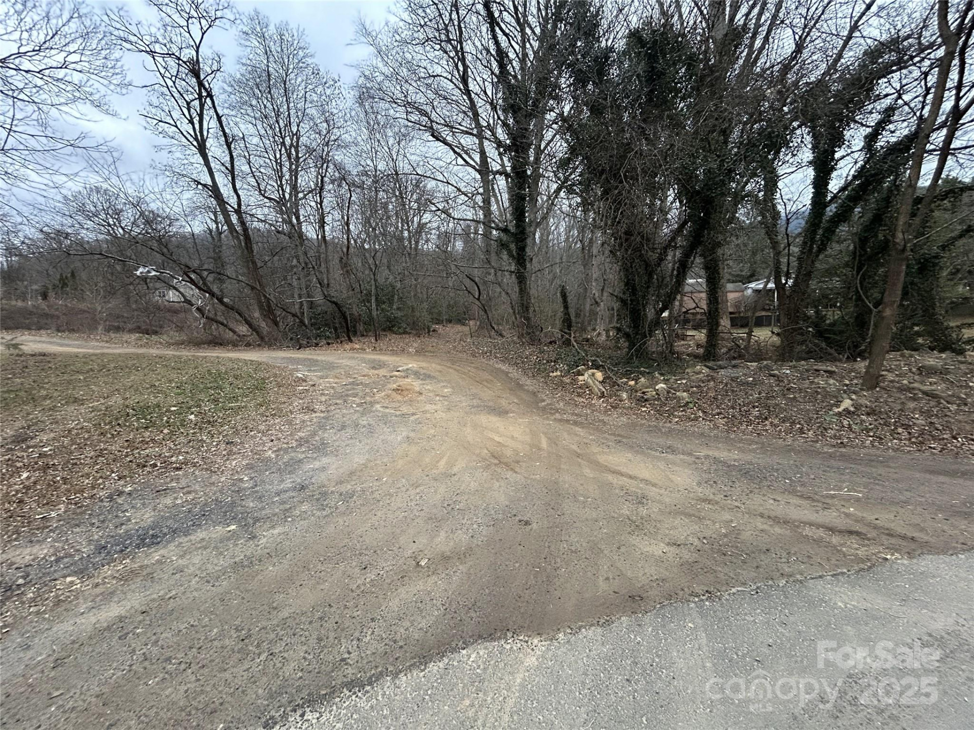 000 Lytle Cove Road - Photo 6