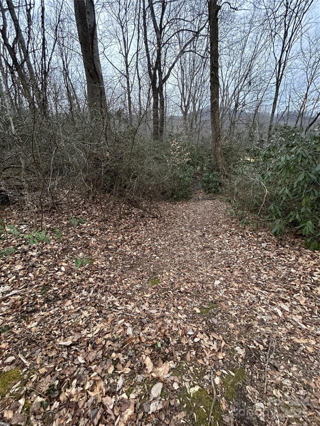 000 Lytle Cove Road - Photo 7