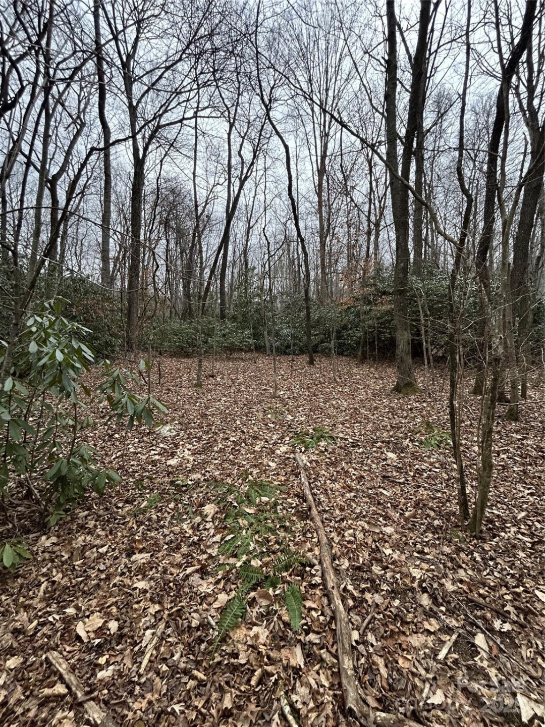 000 Lytle Cove Road - Photo 8