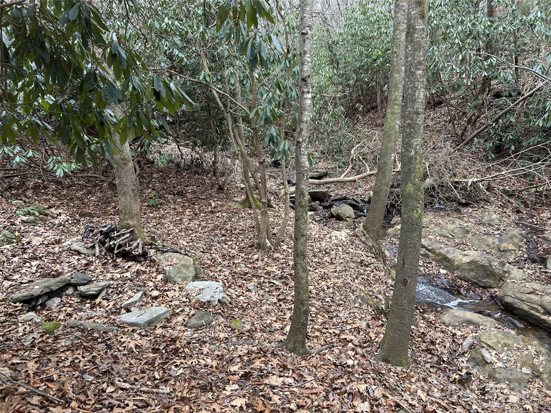 000 Lytle Cove Road - Photo 9