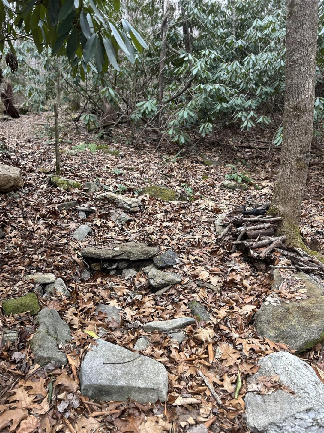 000 Lytle Cove Road - Photo 10