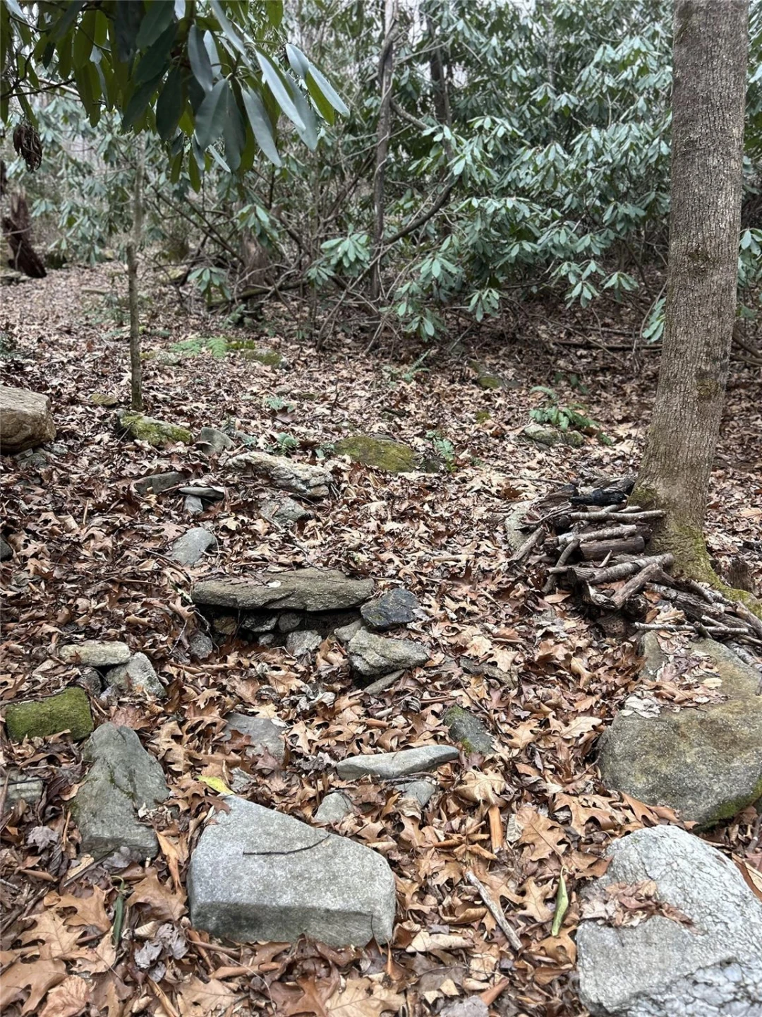 000 Lytle Cove Road - Photo 10