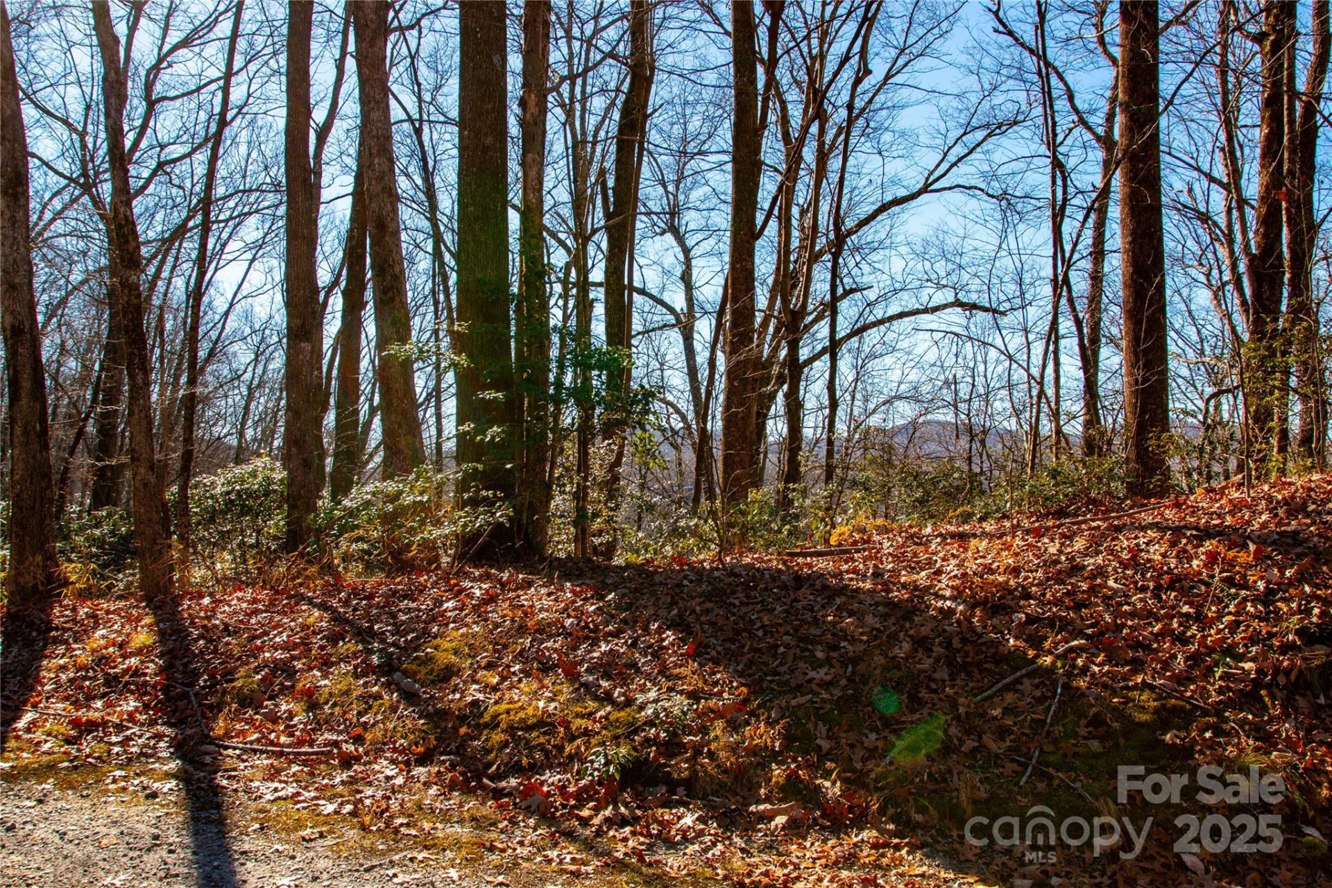 Lot 18 Joshua Road - Photo 11