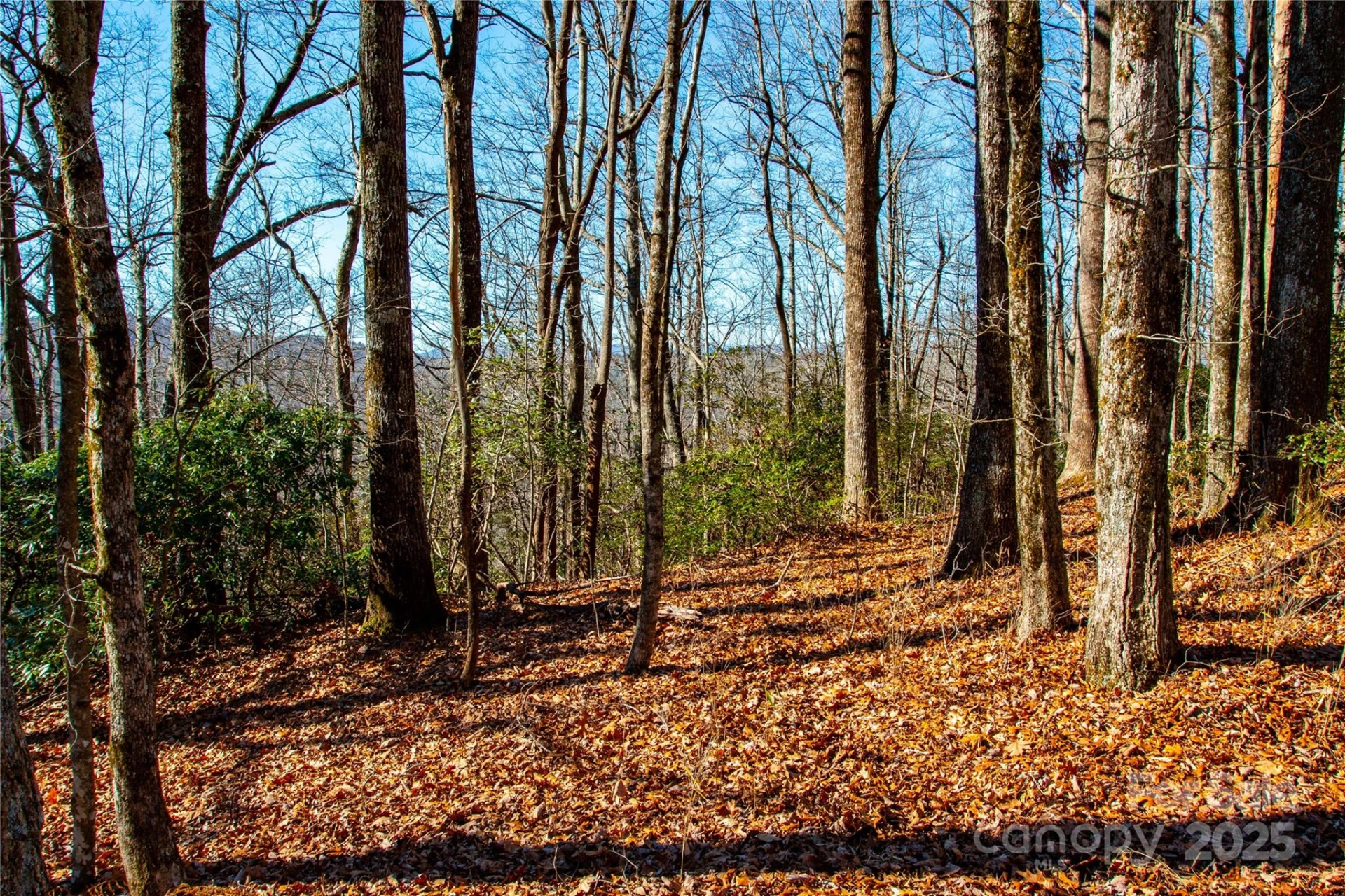 Lot 18 Joshua Road - Photo 14