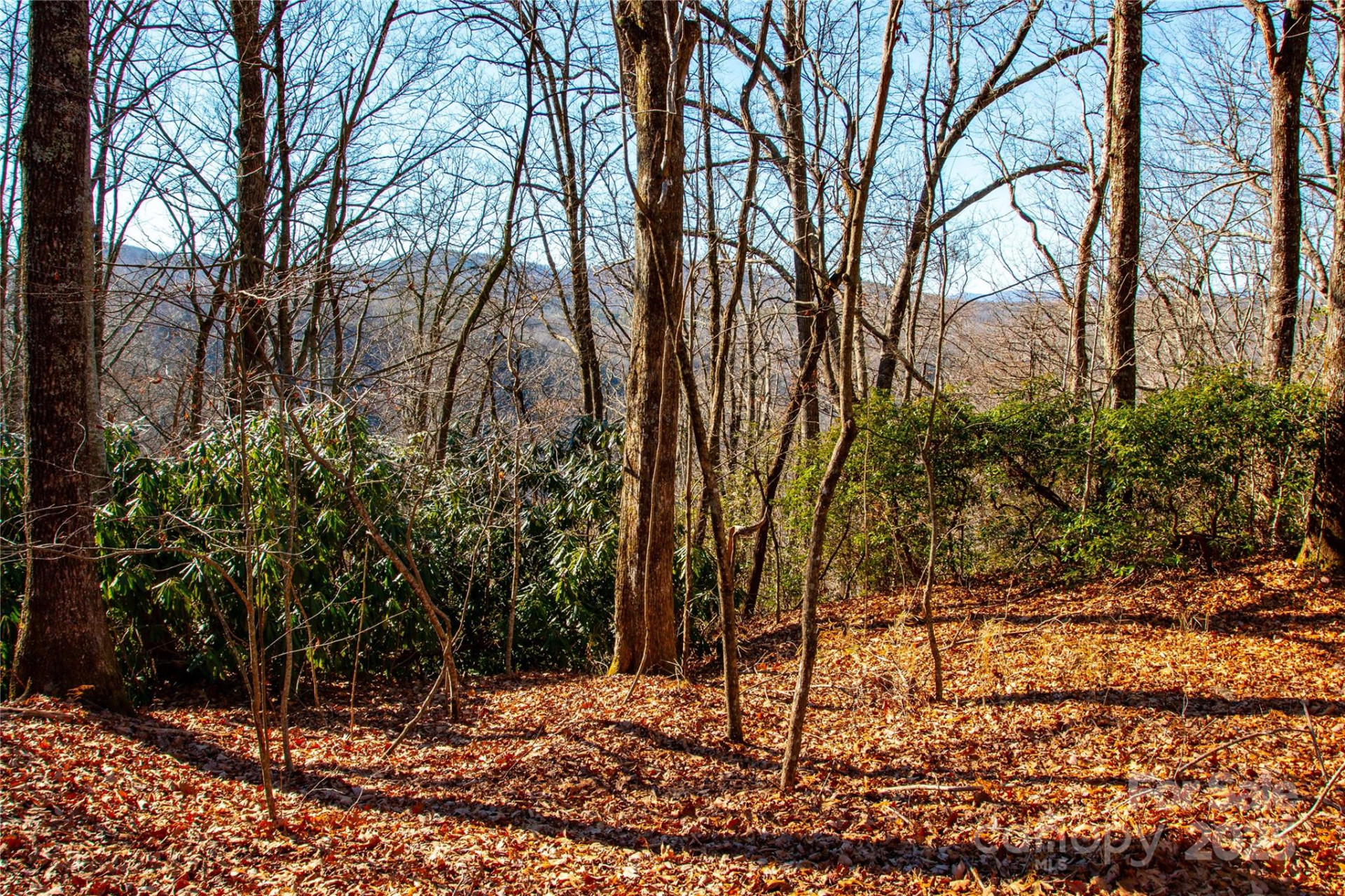 Lot 18 Joshua Road - Photo 15