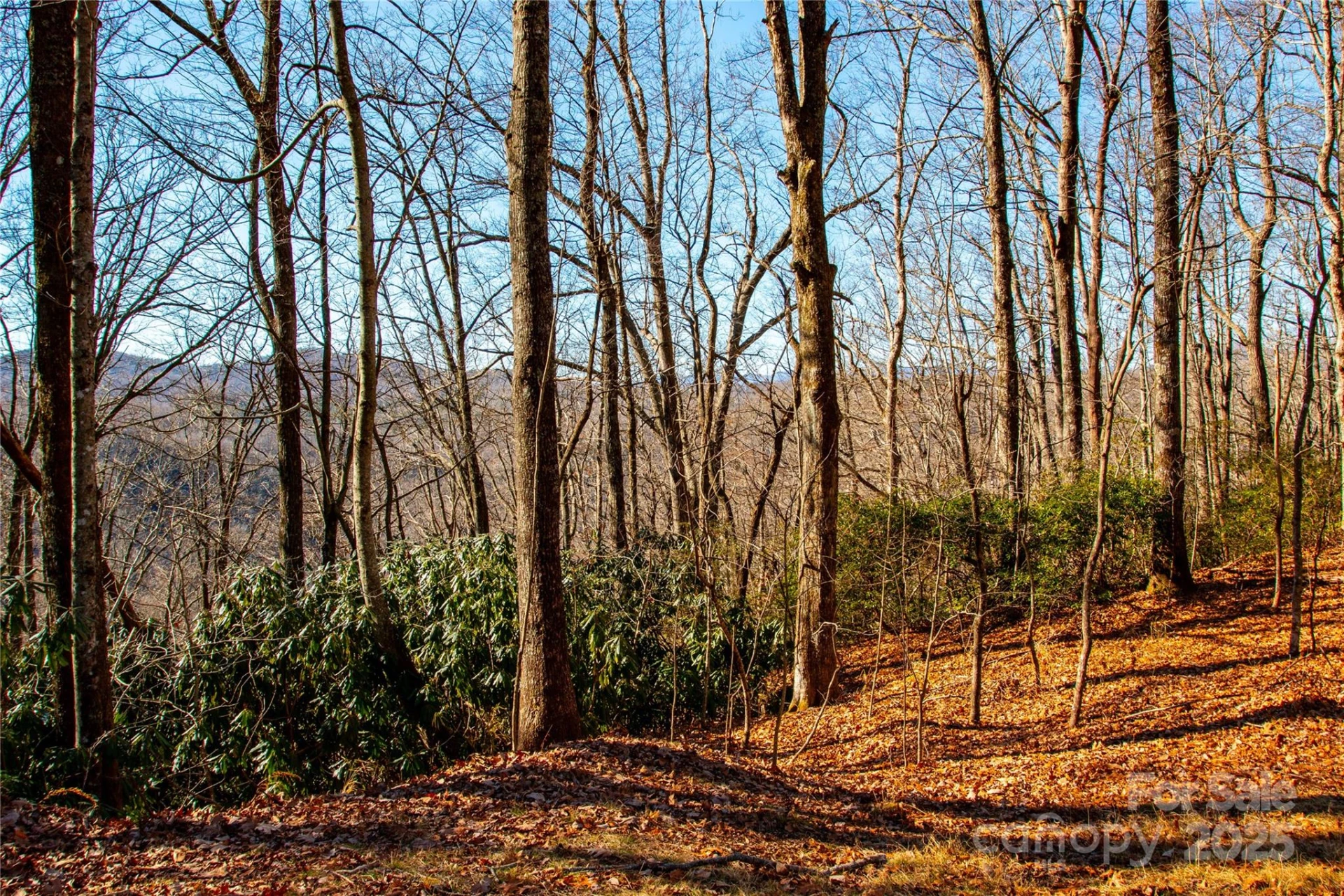 Lot 18 Joshua Road - Photo 16