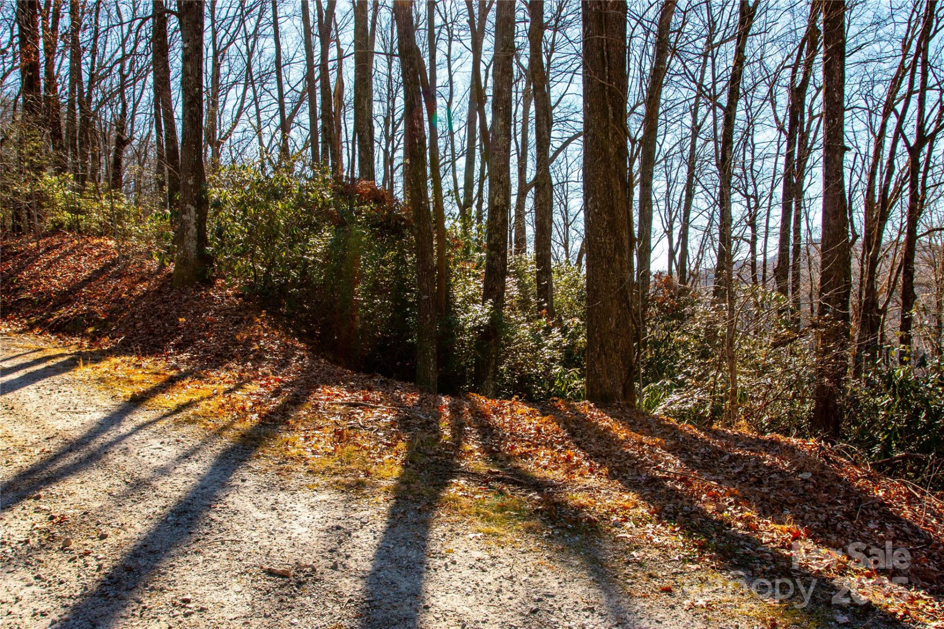 Lot 18 Joshua Road - Photo 3