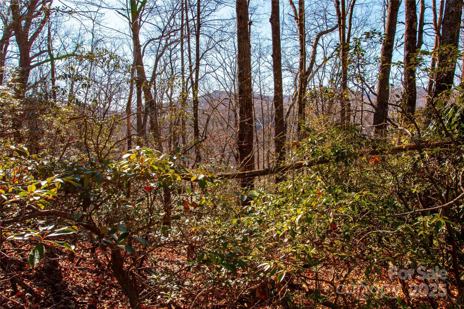 Lot 18 Joshua Road - Photo 4