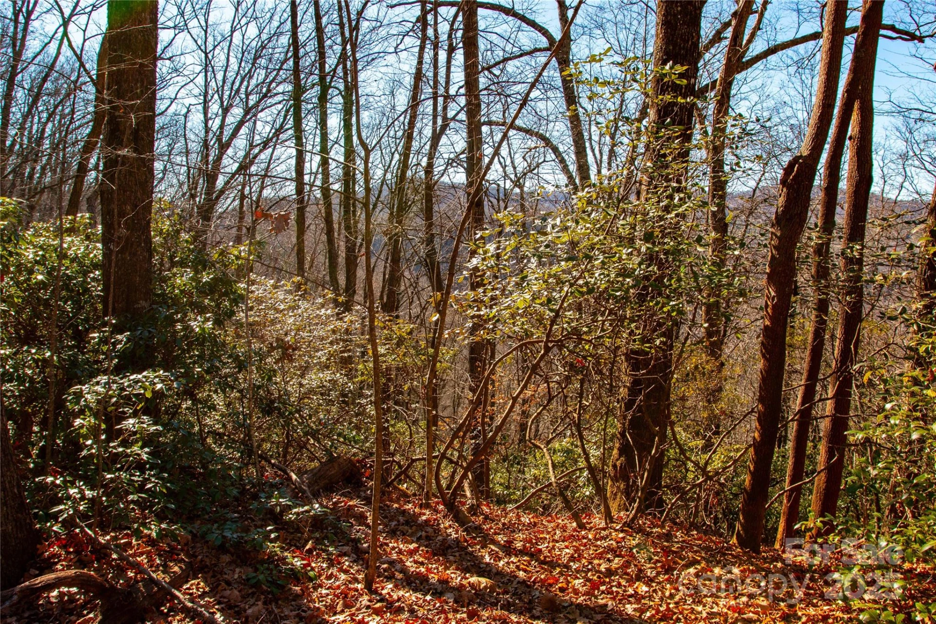 Lot 18 Joshua Road - Photo 6