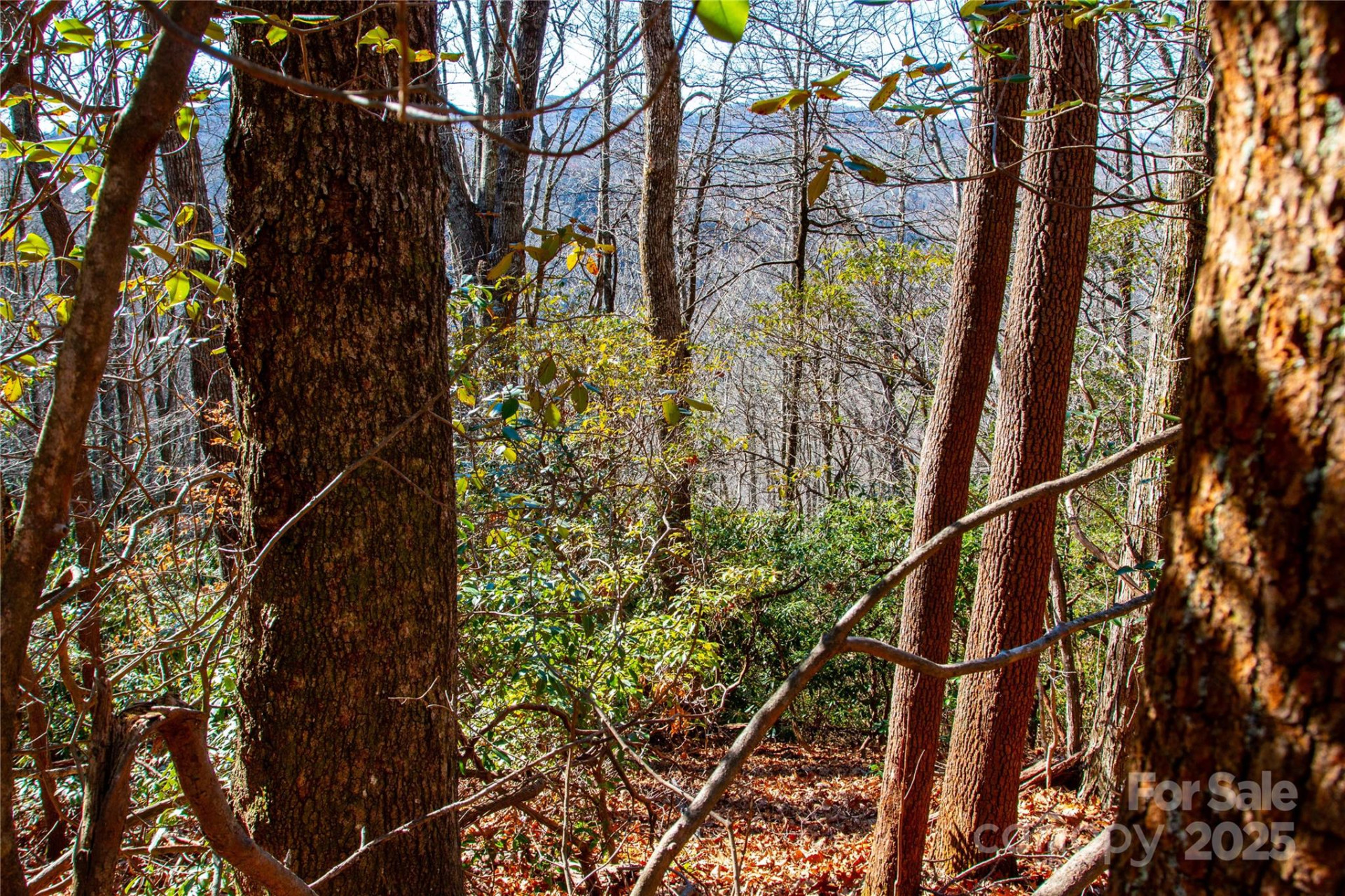 Lot 18 Joshua Road - Photo 7