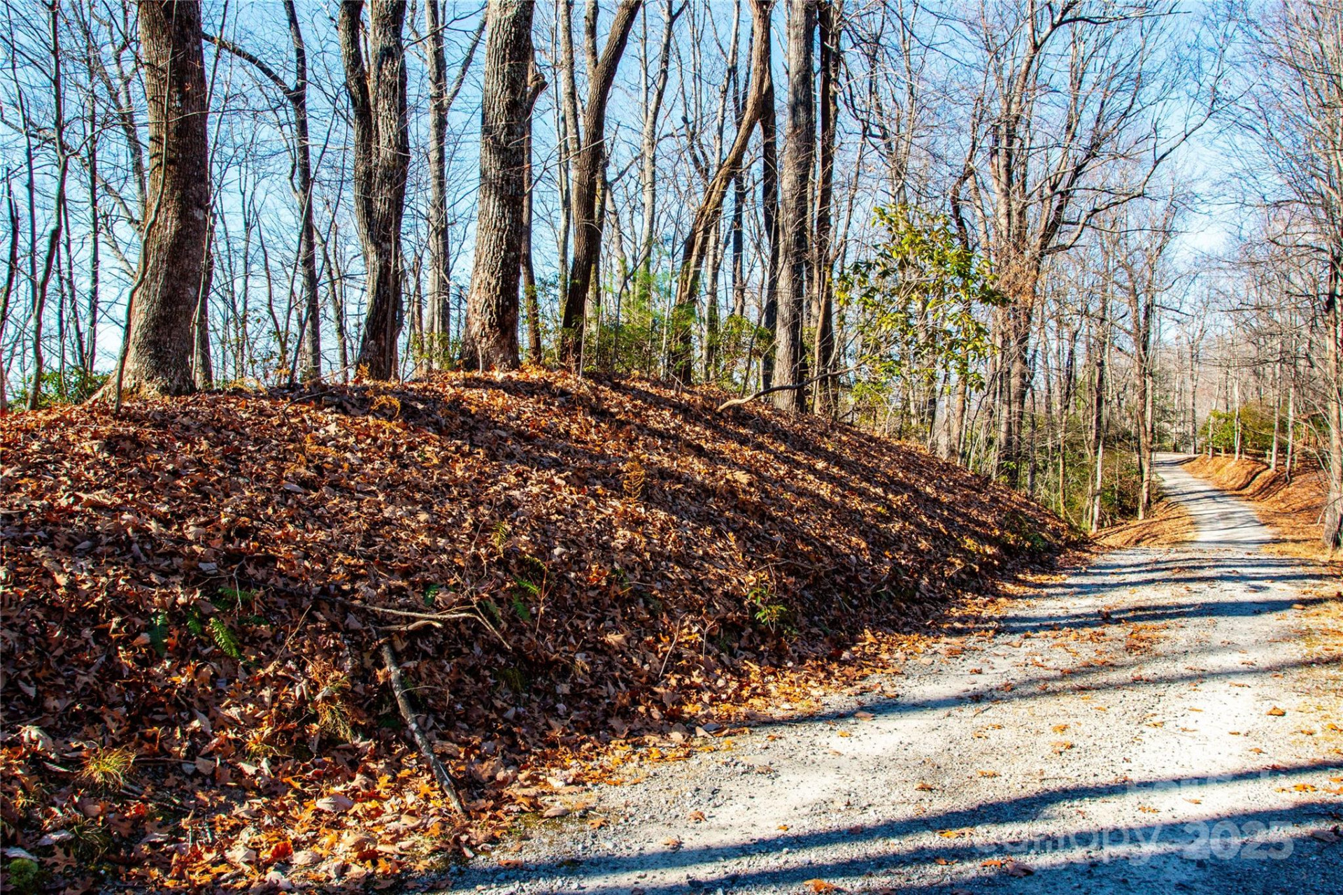 Lot 18 Joshua Road - Photo 9