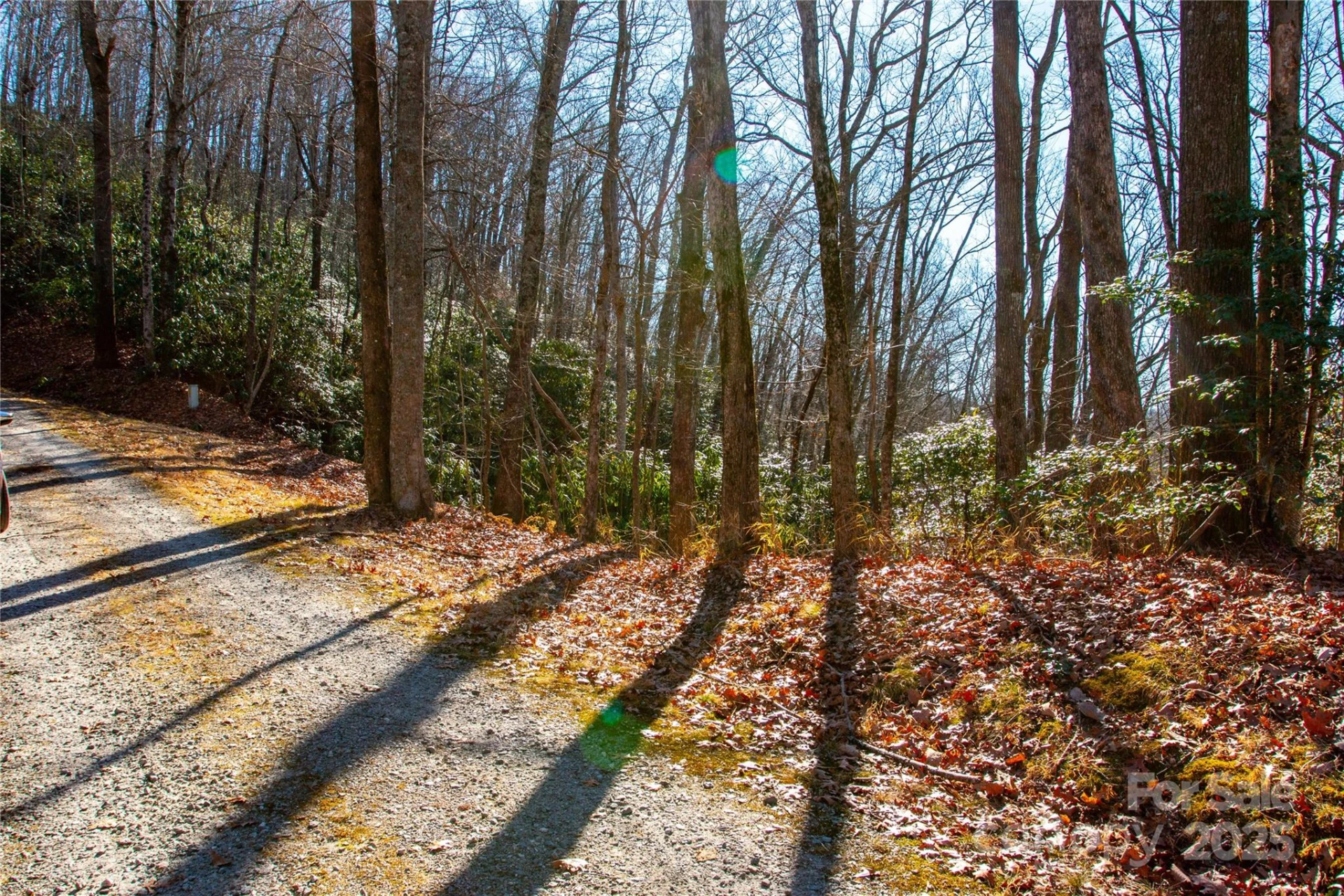 Lot 18 Joshua Road - Photo 10