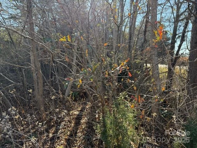 00 US 221n Highway - Photo 2