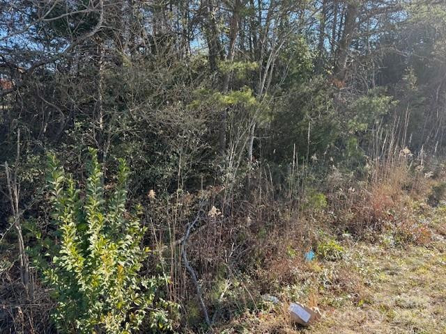 00 US 221n Highway - Photo 4