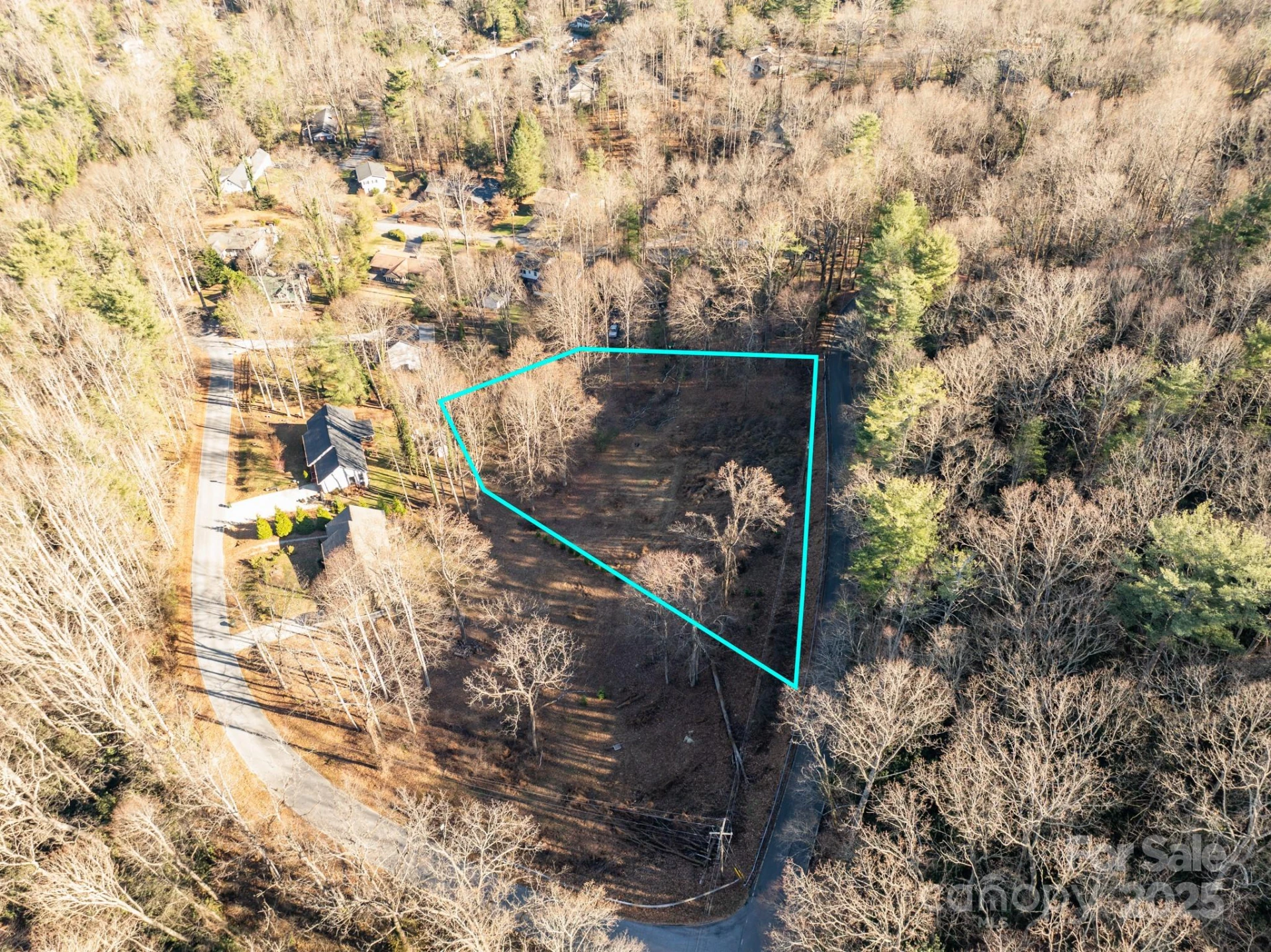 TBD Davis Mountain Road - Photo 2