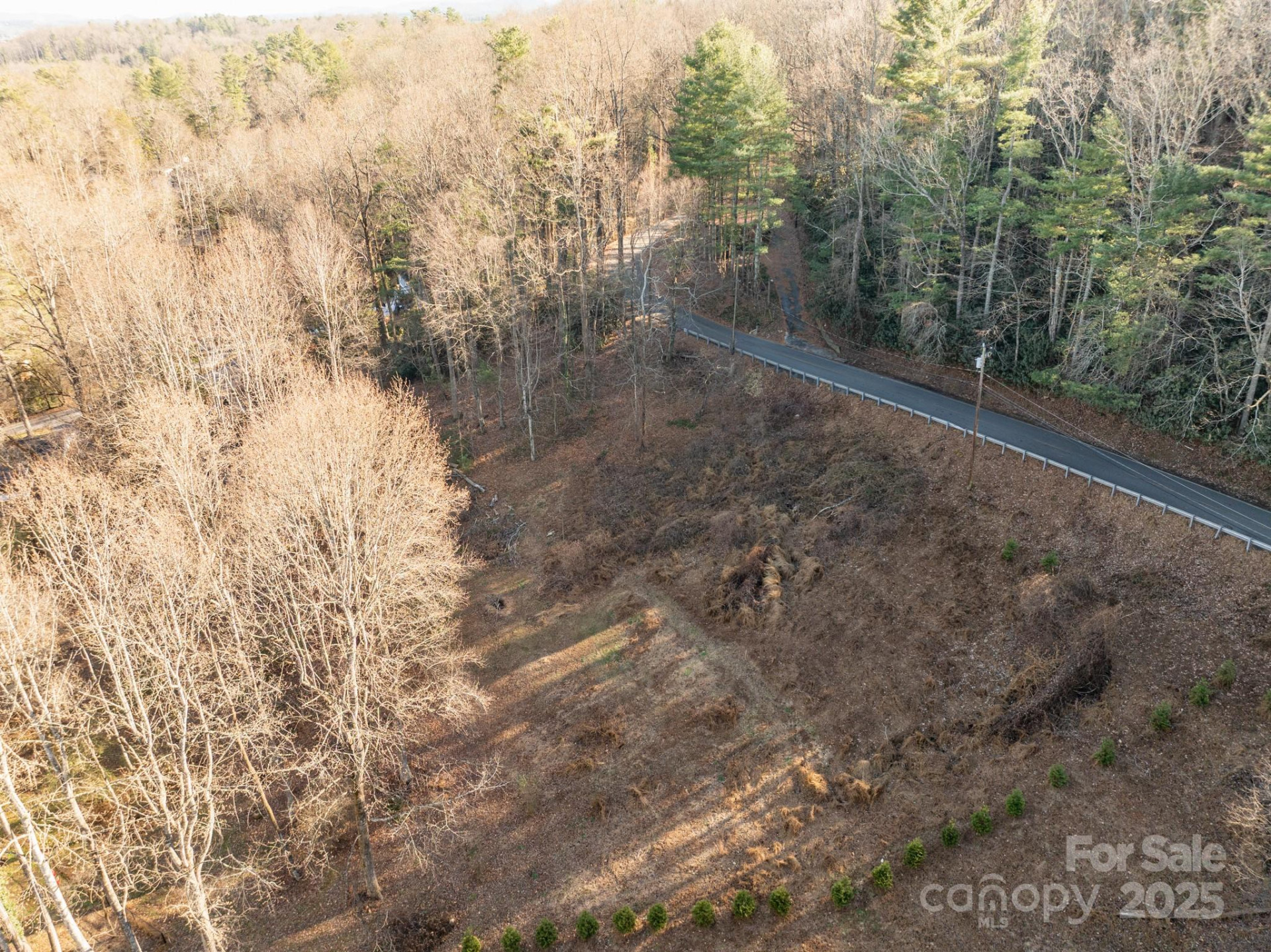 TBD Davis Mountain Road - Photo 4