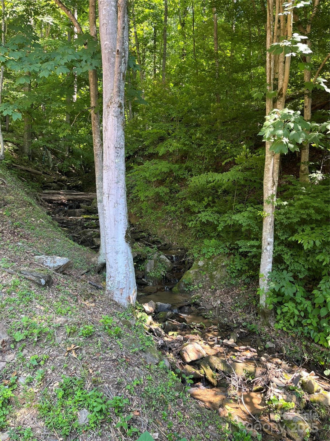 481 Sugar Mountain Road - Photo 20