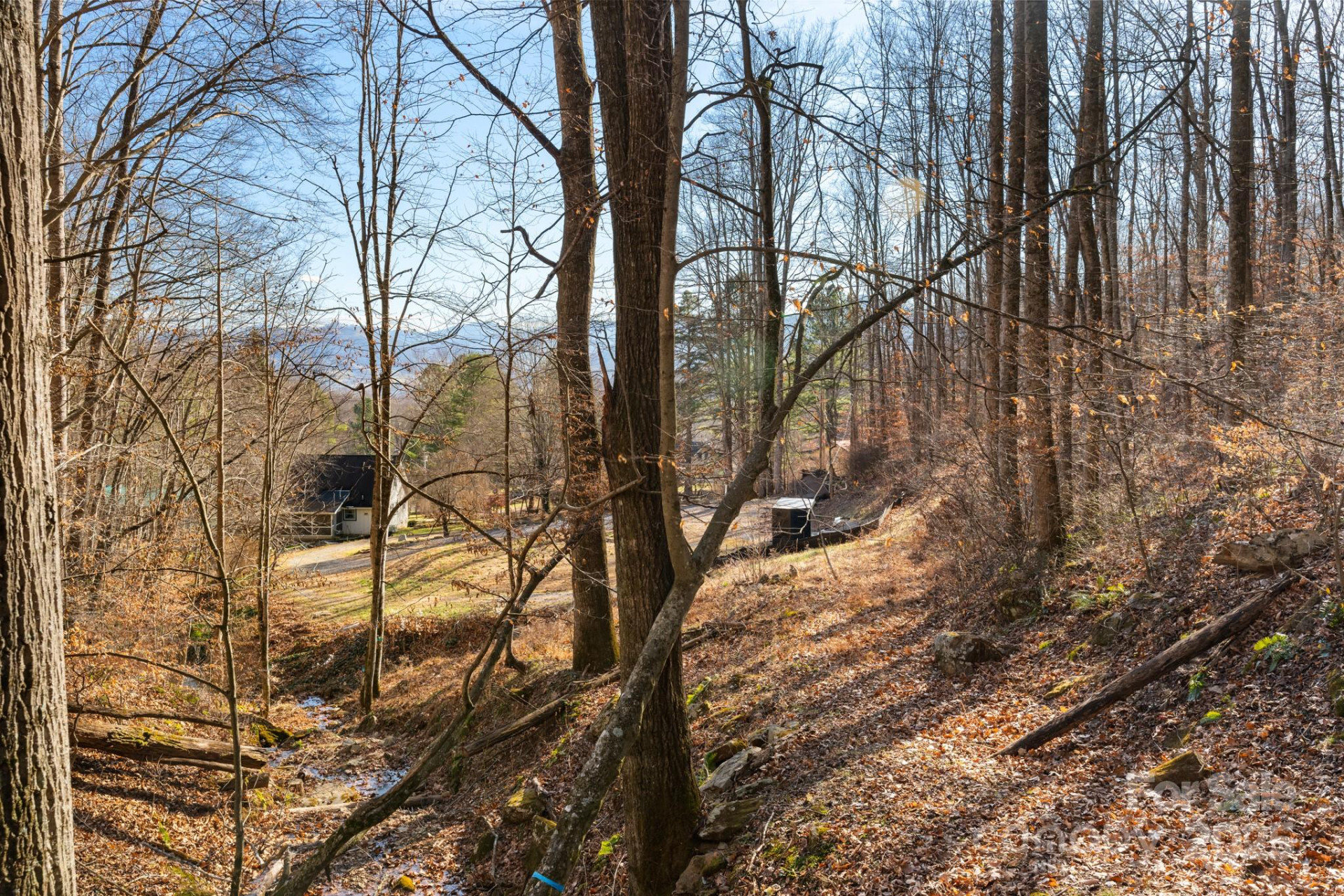 481 Sugar Mountain Road - Photo 8