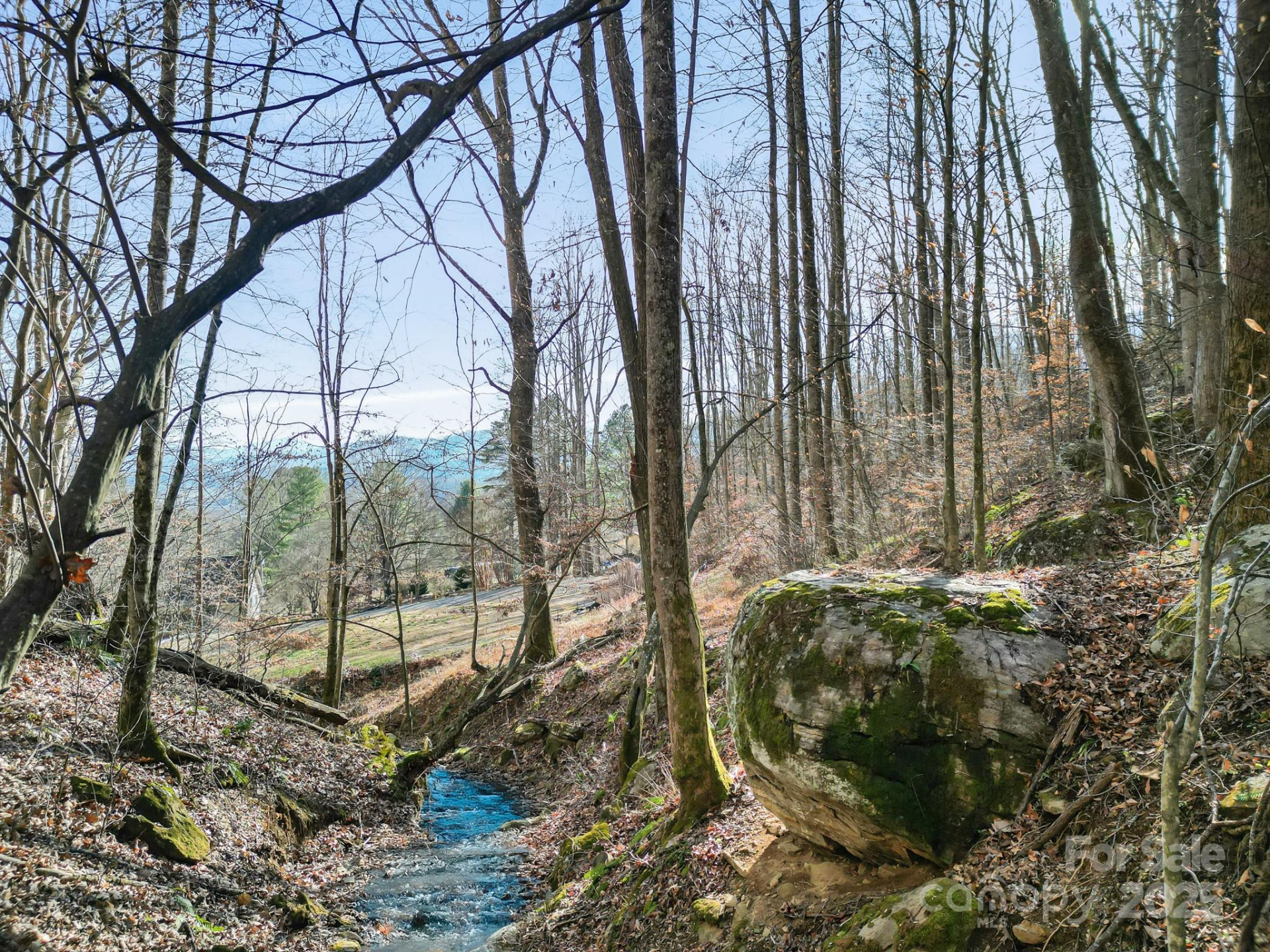 481 Sugar Mountain Road - Photo 9