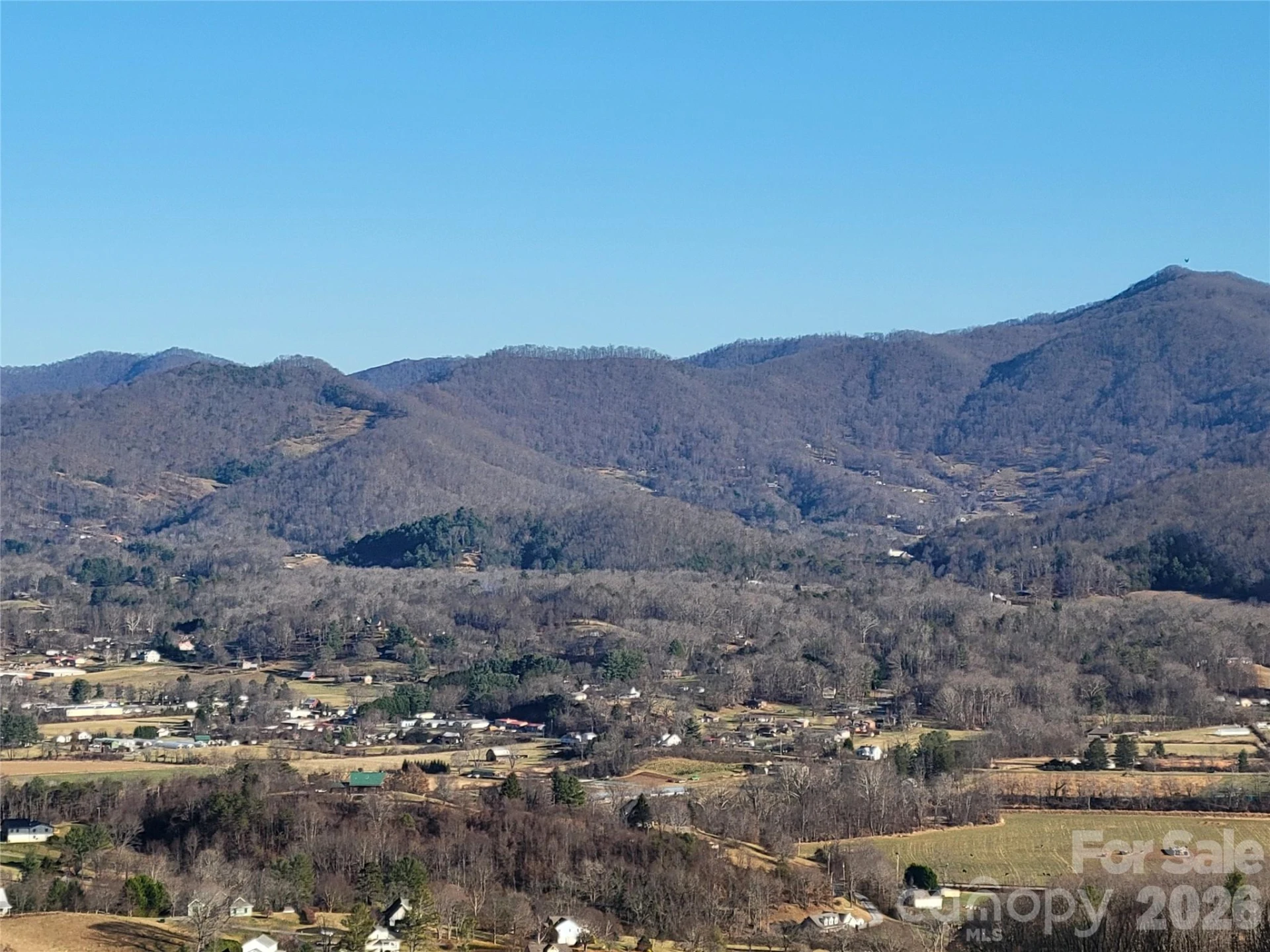 1201 Cathey Cove Road - Photo 47