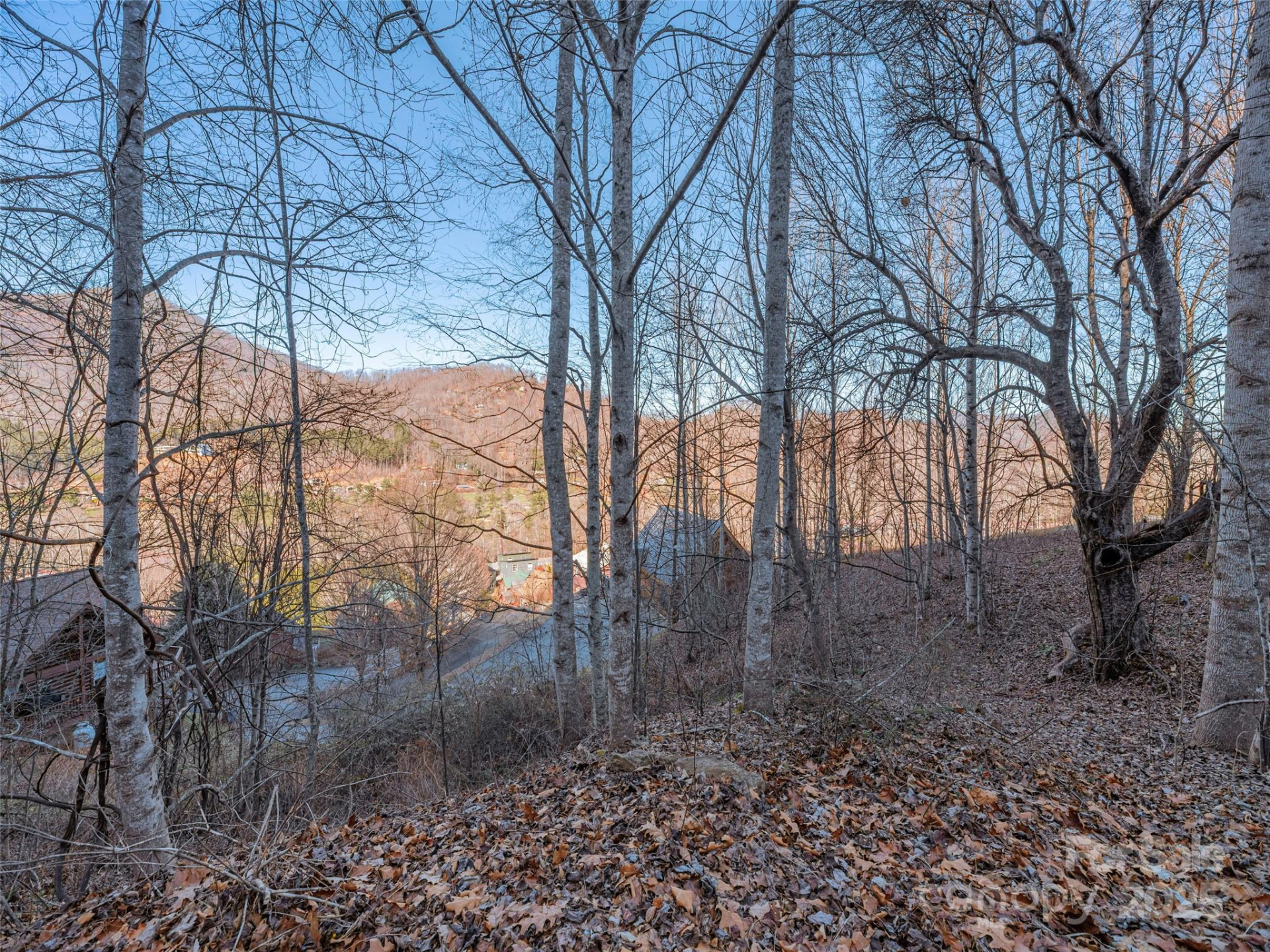 000 Appalachian Trail - Photo 4