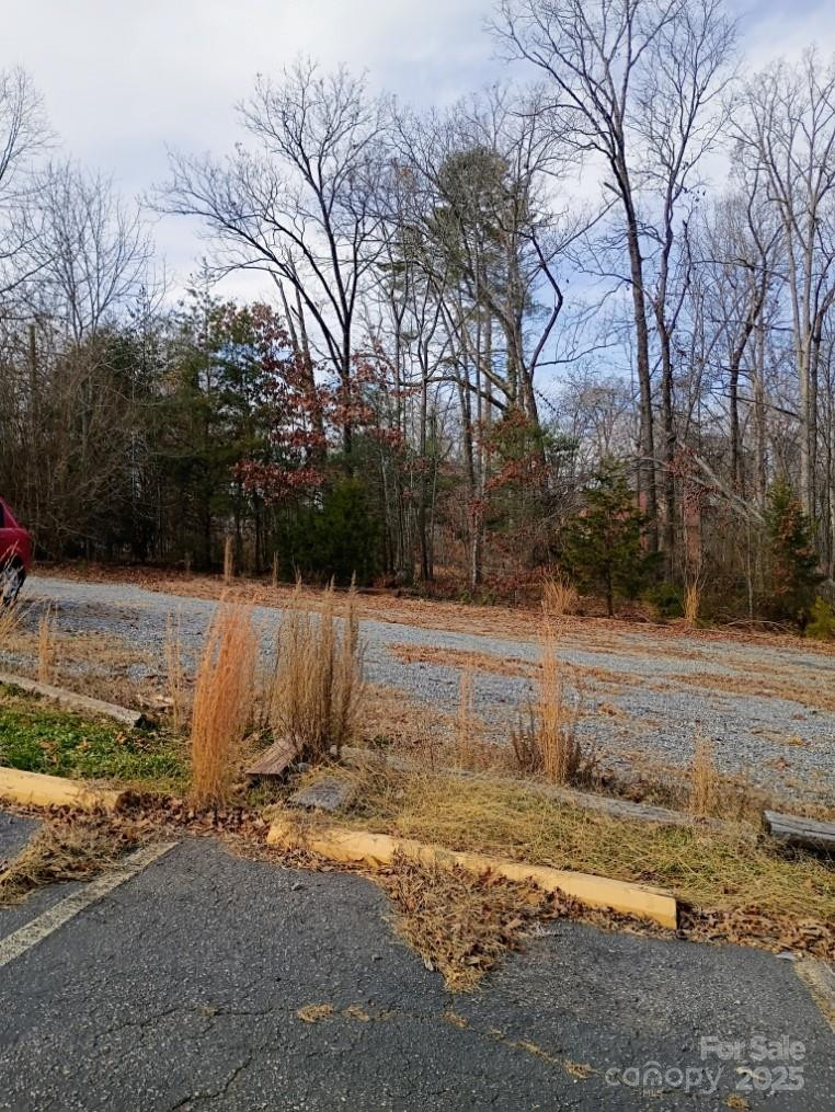 00 Chimney Rock Road #2 - Photo 2