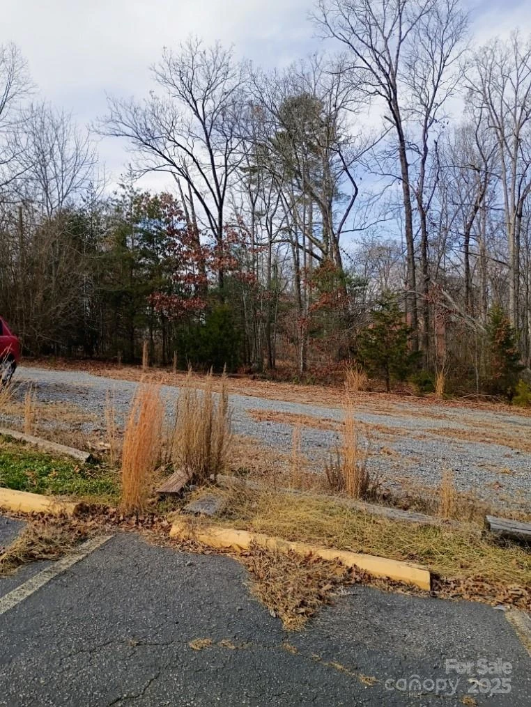 00 Chimney Rock Road #2 - Photo 2