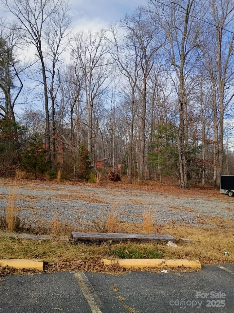 00 Chimney Rock Road #2 - Photo 3