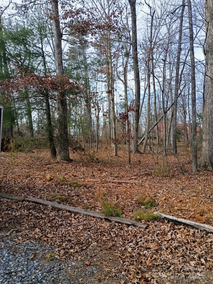 00 Chimney Rock Road #2 - Photo 4