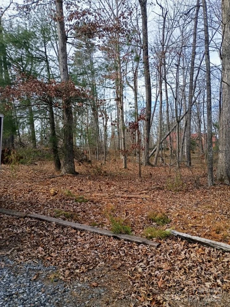 00 Chimney Rock Road #2 - Photo 4