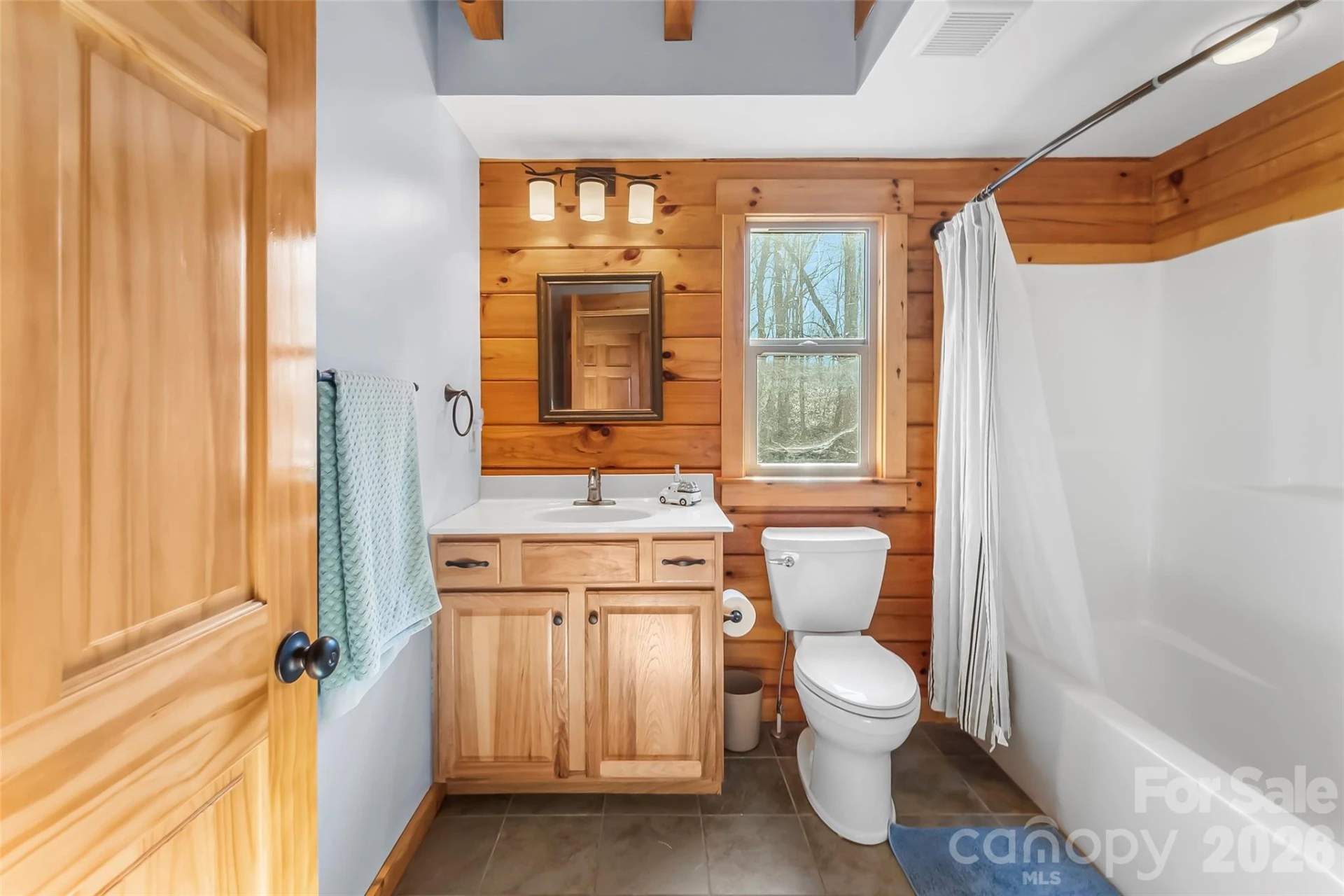 204 Mountain Vista Drive - Photo 19