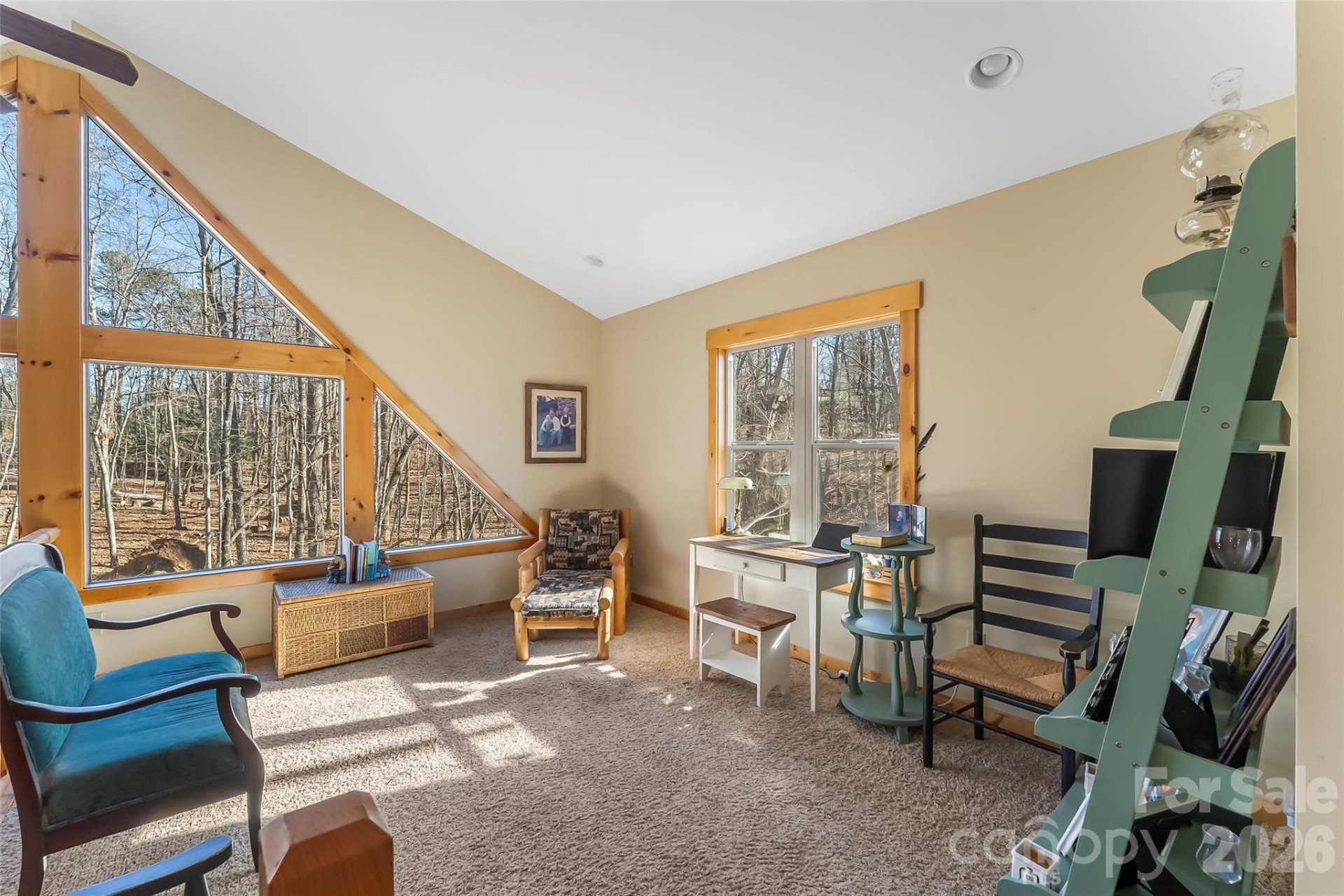 204 Mountain Vista Drive - Photo 23