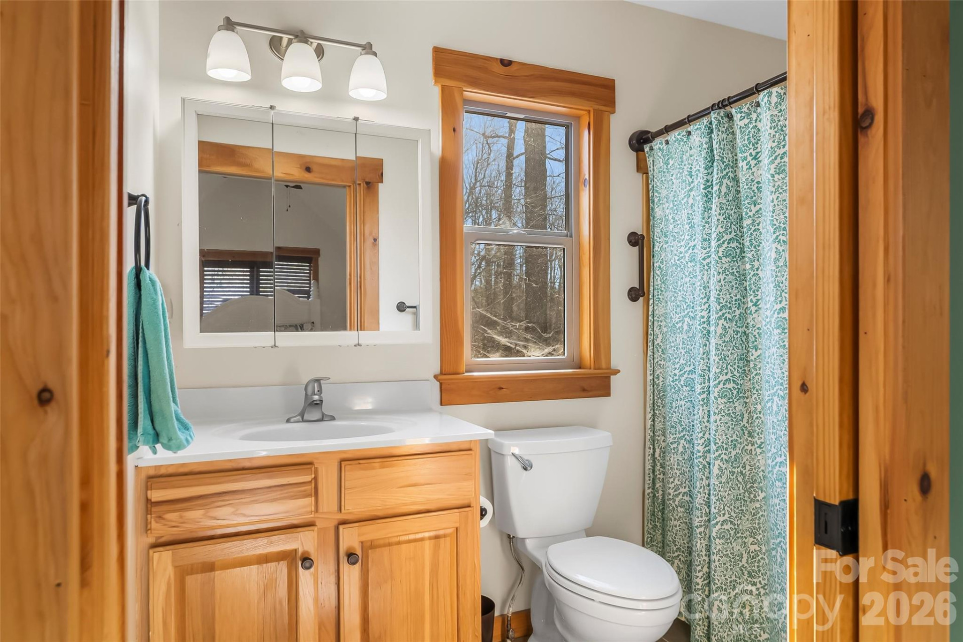 204 Mountain Vista Drive - Photo 27